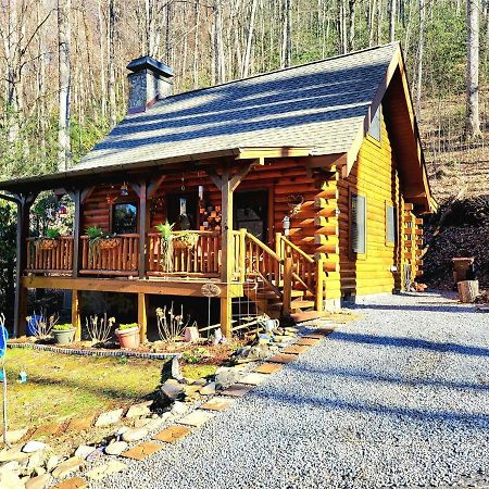 The Little Wolf Cabin Maggie Valley Luaran gambar