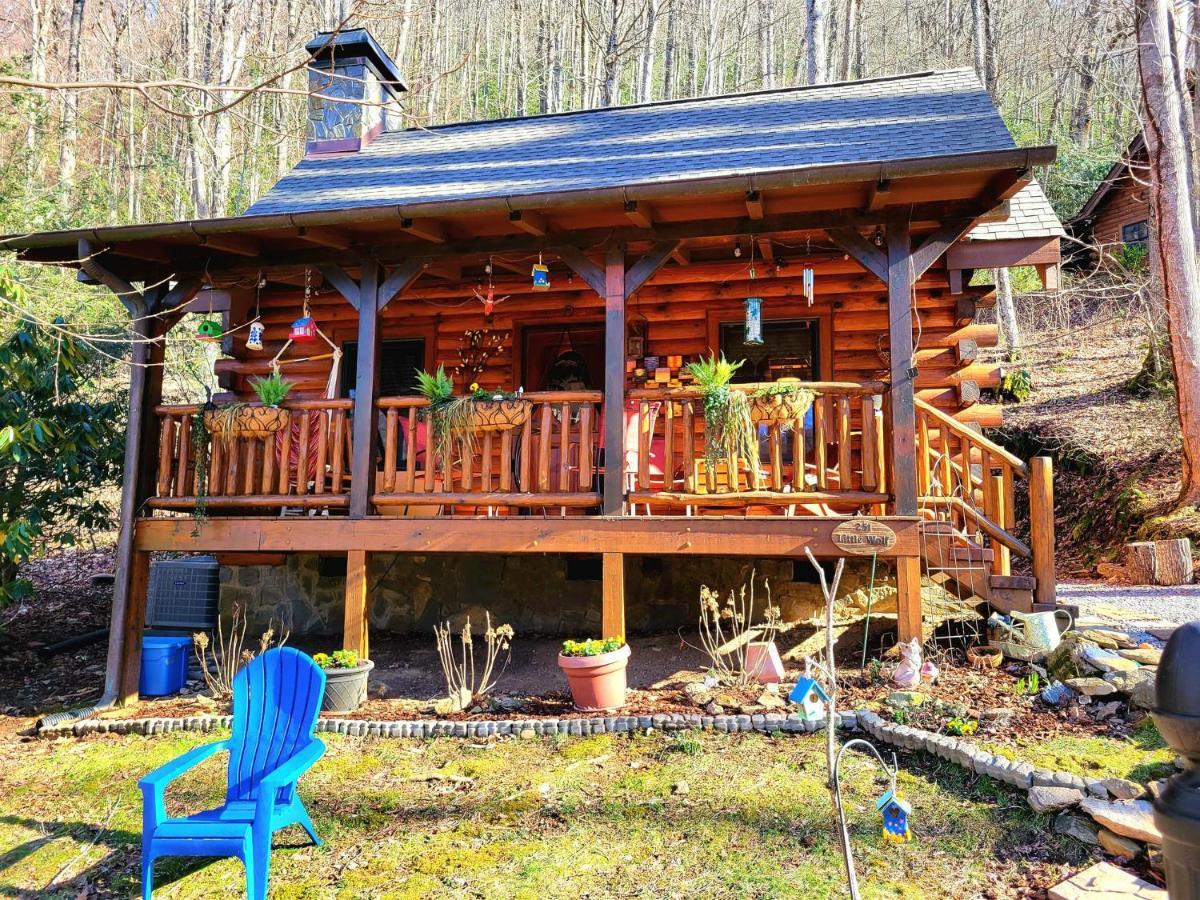 The Little Wolf Cabin Maggie Valley Luaran gambar